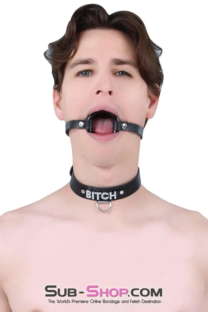 1442A-L-SIS      Pretty Sissy Hussy Smooth Plastic Ring Gag, Large Mistress Sessions Ring