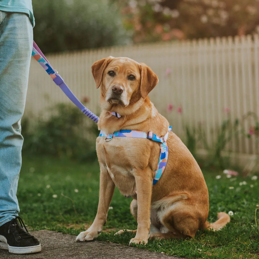 Chrome OG No-Pull Training Harness