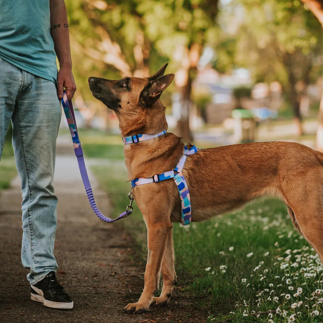 Chrome OG No-Pull Training Harness