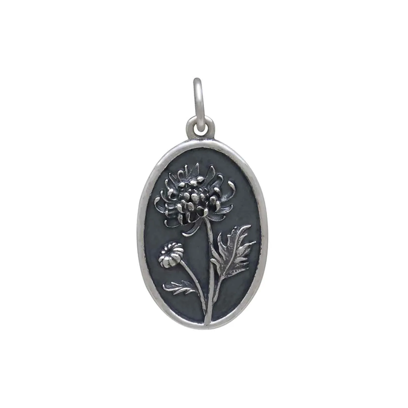 Chrysanthemum Charm - November Birth flower