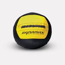 Dynamax Medicine Ball