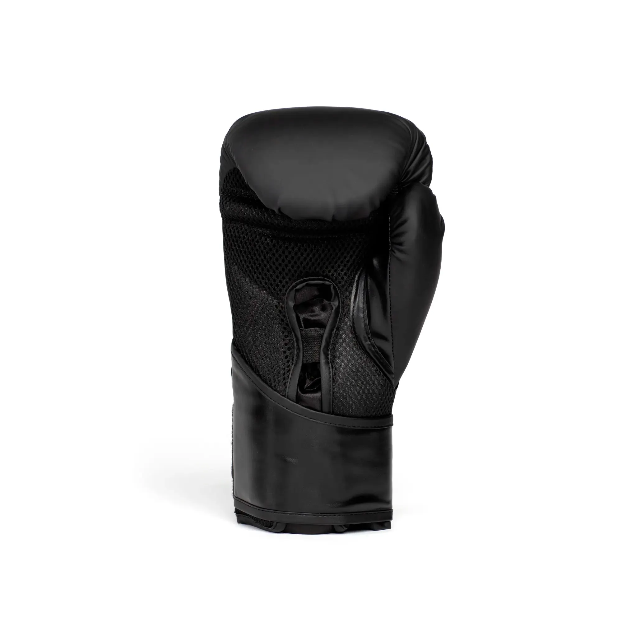 Elite 2 Boxing Gloves