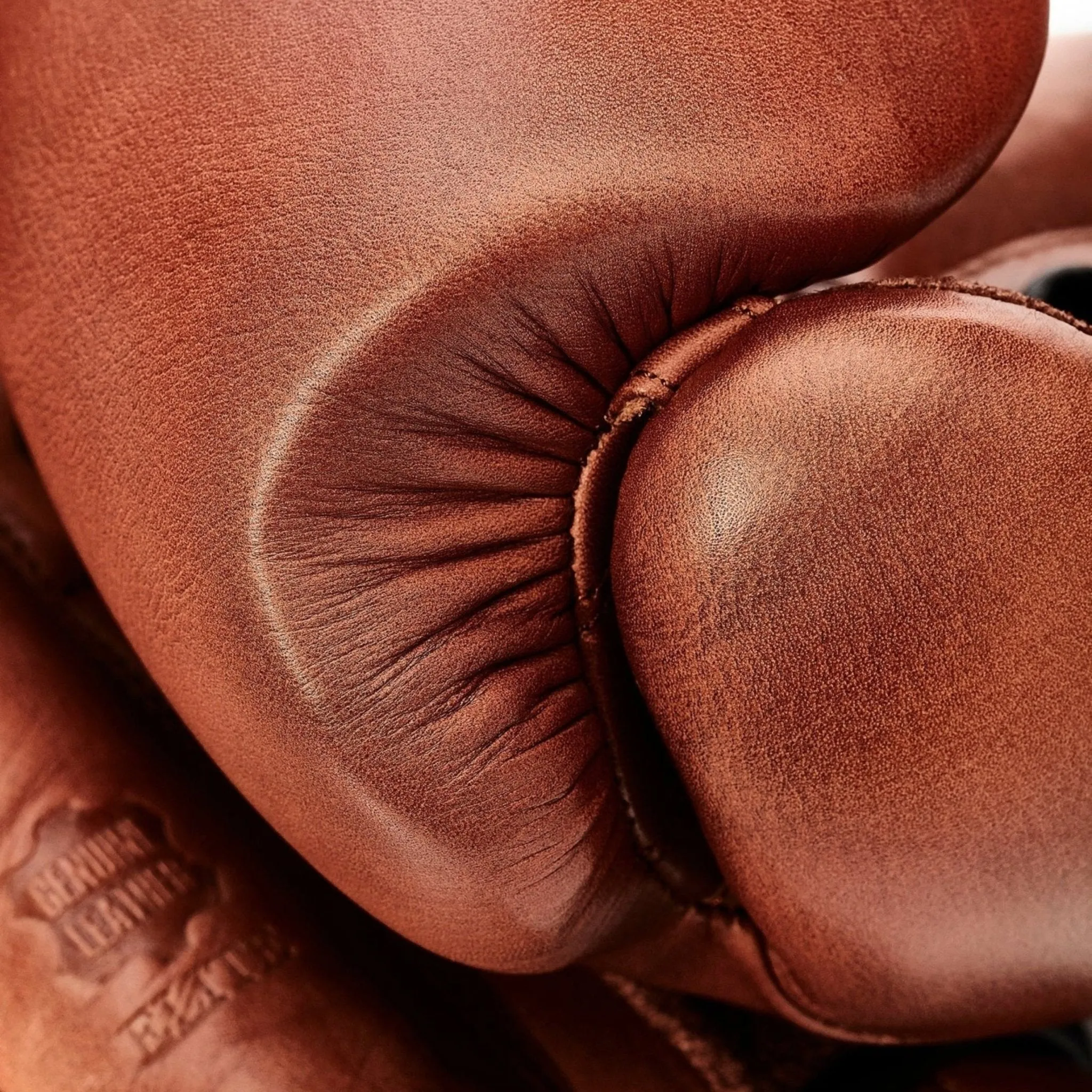 Elite Heritage Brown Leather Boxing Gloves (Strap Up)