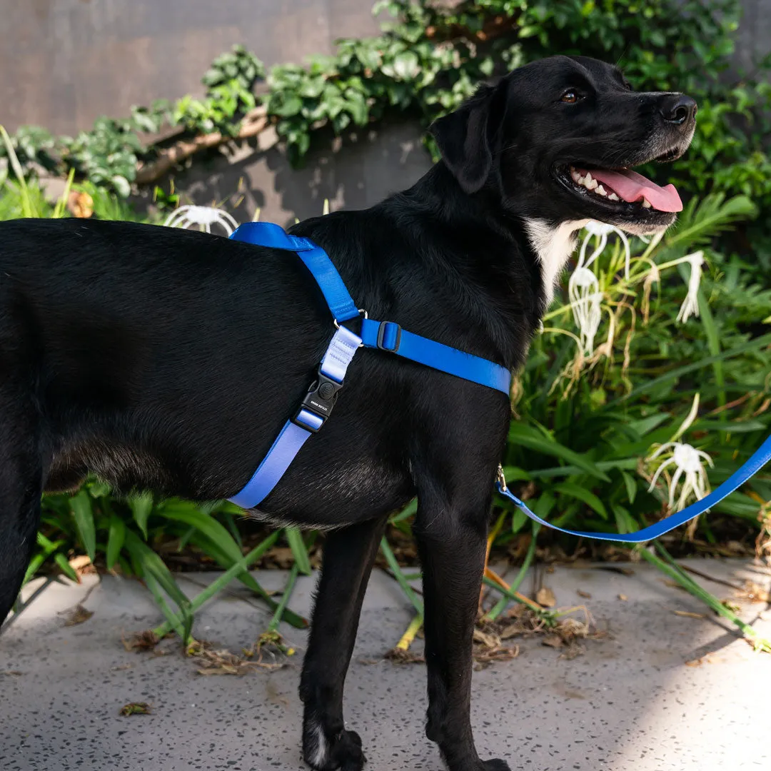 Horizon OG No-Pull Training Harness