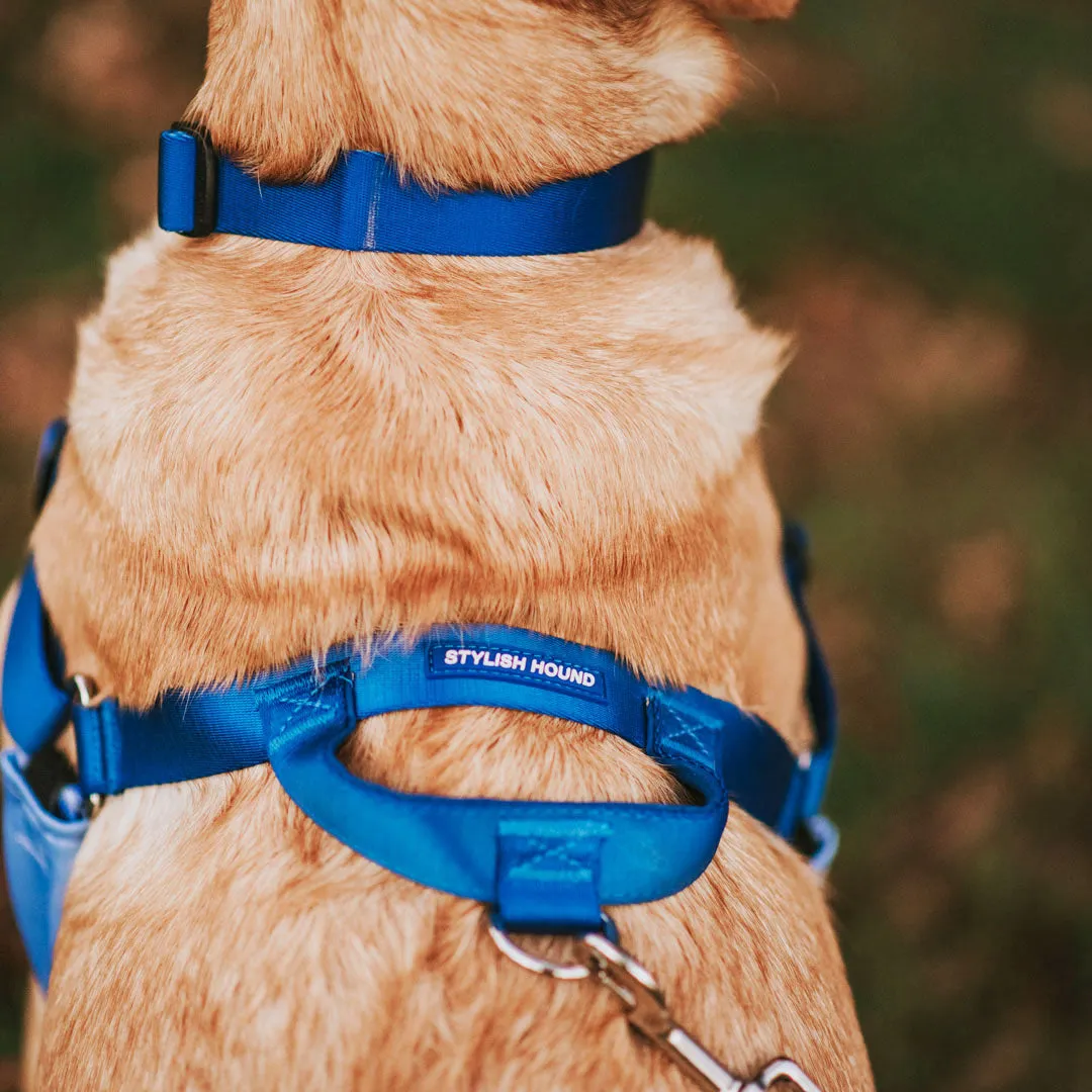 Horizon OG No-Pull Training Harness