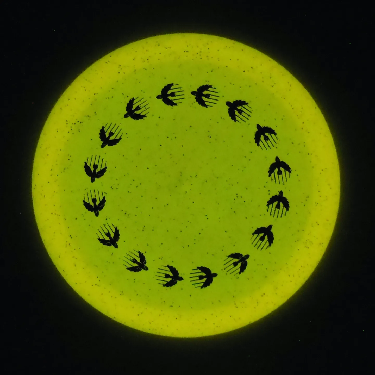 Infinite Discs Metal Flake Glow C-Blend Dynasty - 167g