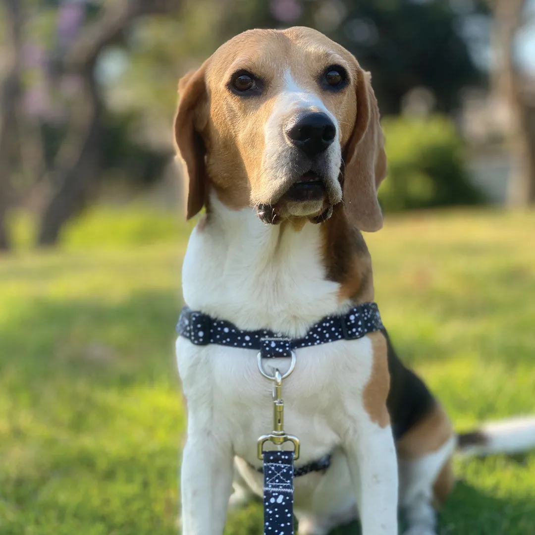 Jackson OG No-Pull Training Harness