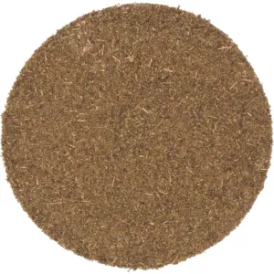 Lemon myrtle organic