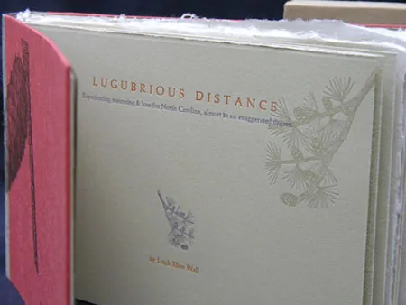Lugubrious Distance by Ellen Knudson