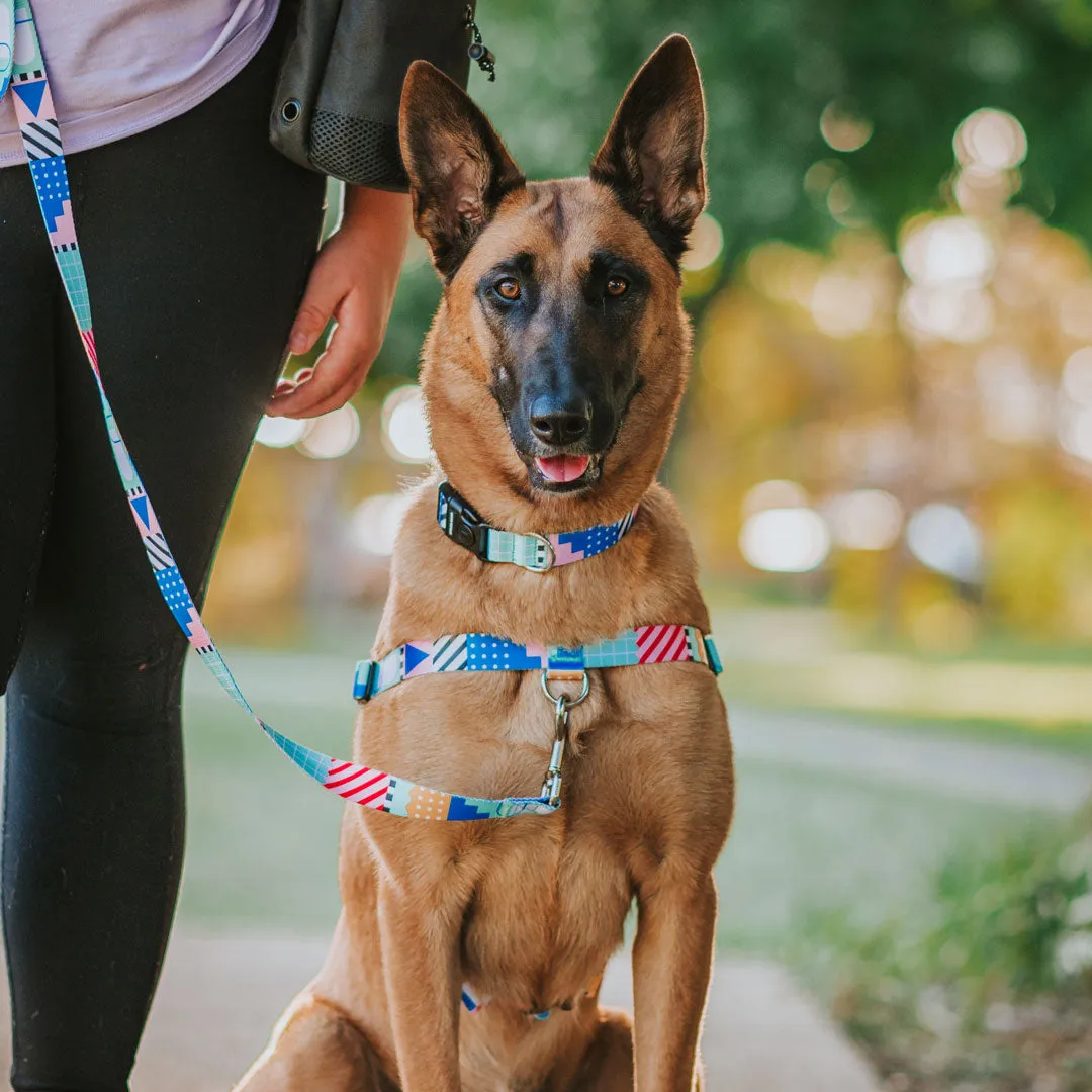 Milano OG No-Pull Training Harness