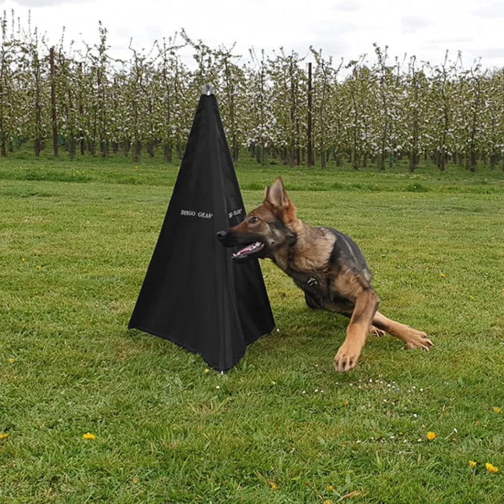 Mini Training Blind