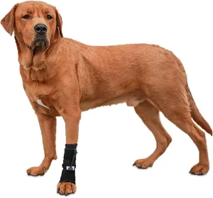 NEW Front No-Knuckling Training Sock | Helps Dogs Pick up Their Feet When Knuckling Under or Dragging Their Front Paws - X-Small - Retails for $63 !
