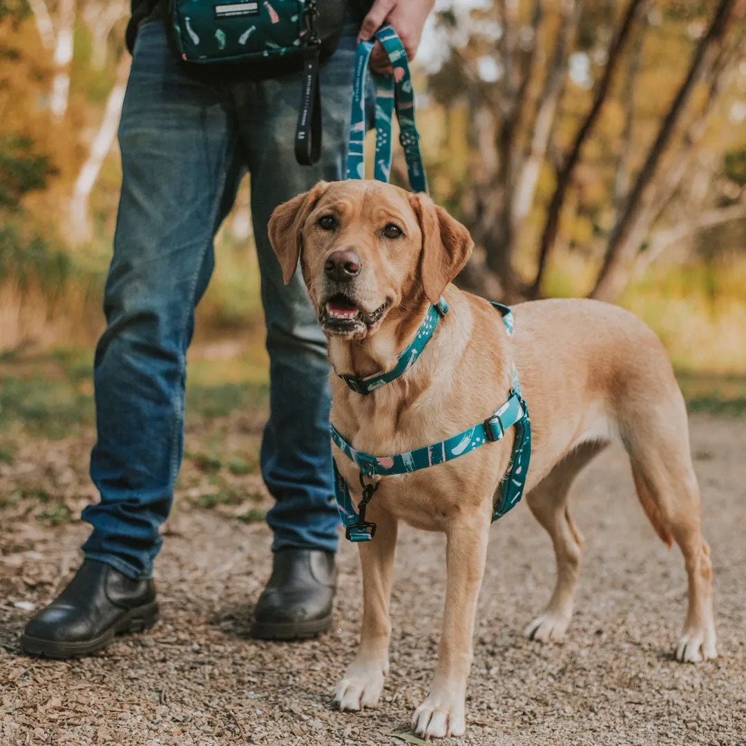 Nova OG No-Pull Training Harness