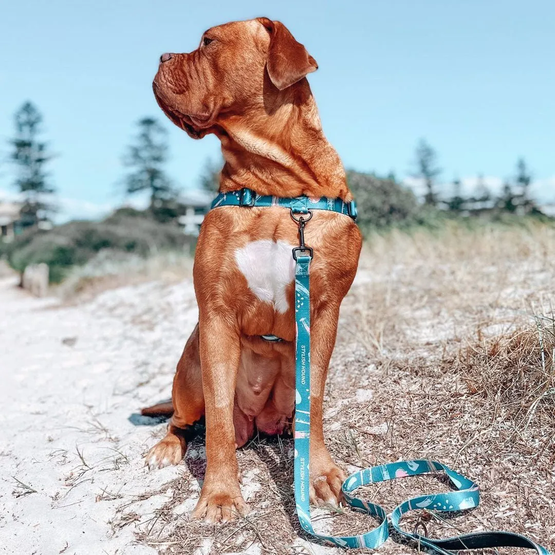 Nova OG No-Pull Training Harness