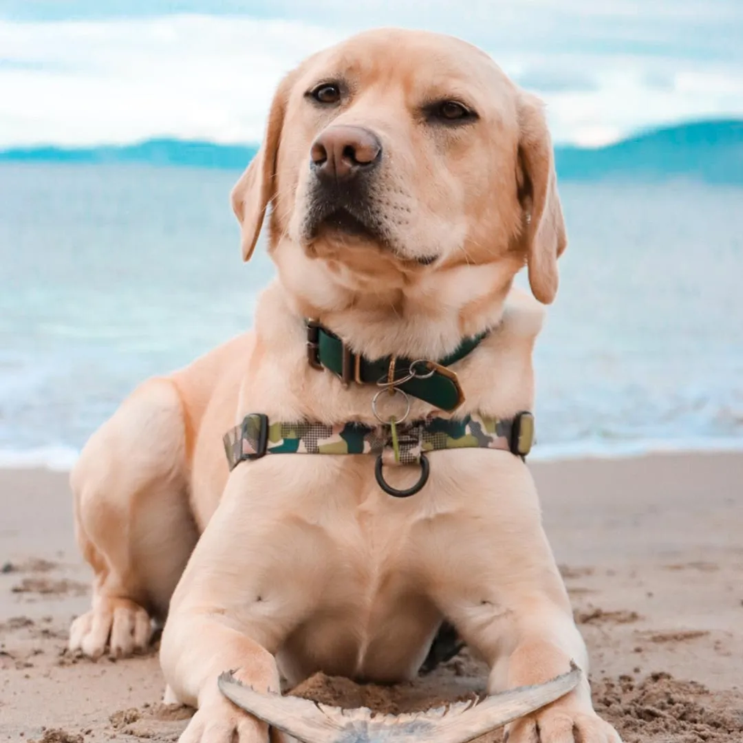 On Duty OG No-Pull Training Harness
