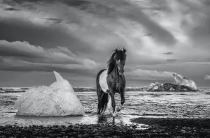ON THE ROCKS