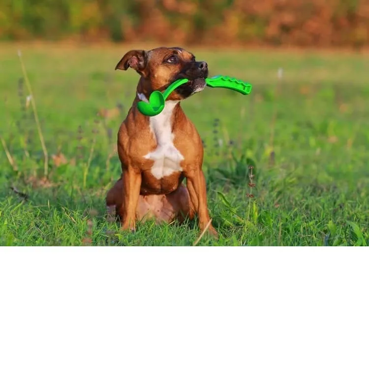 Pets Play Ball Launcher 38CM - any colour