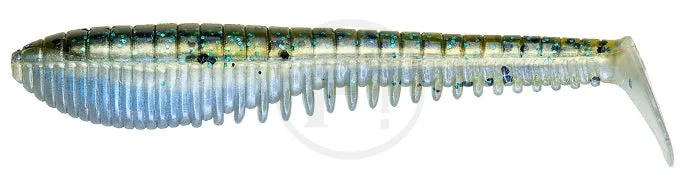 Pontoon21 Awaruna EVO 4.0”