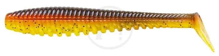 Pontoon21 Awaruna EVO 4.0”