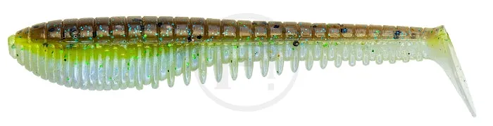 Pontoon21 Awaruna EVO 5.0”