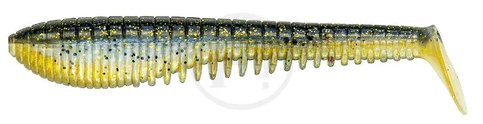 Pontoon21 Awaruna EVO 5.0”