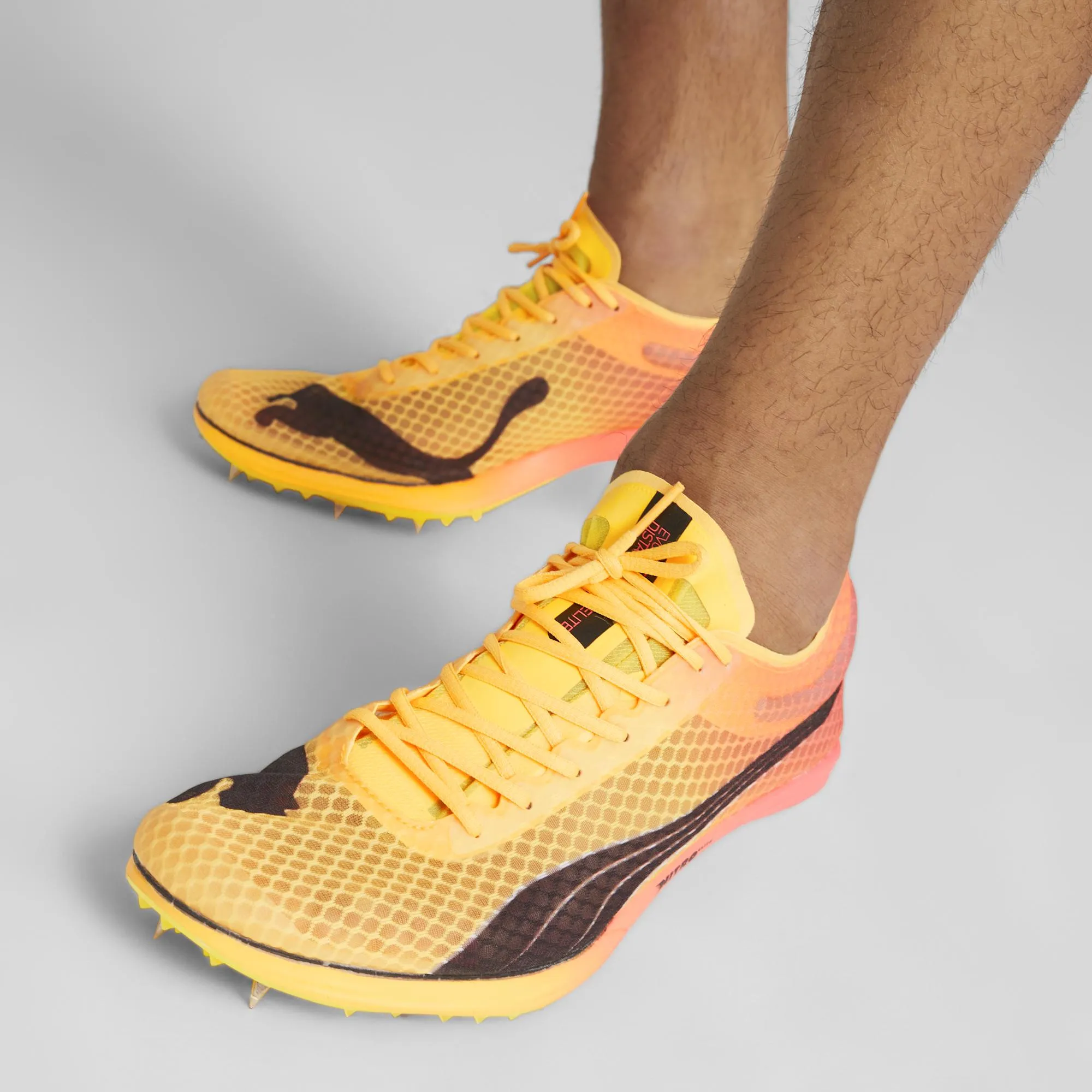 Puma Evospeed Distance Nitro Elite 2