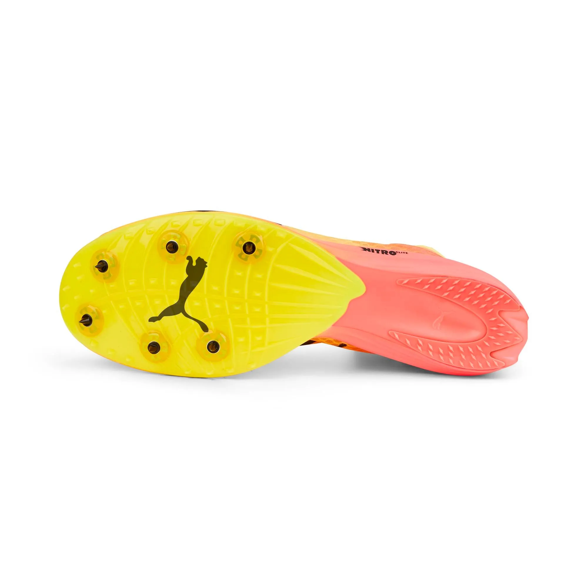 Puma Evospeed Distance Nitro Elite 2