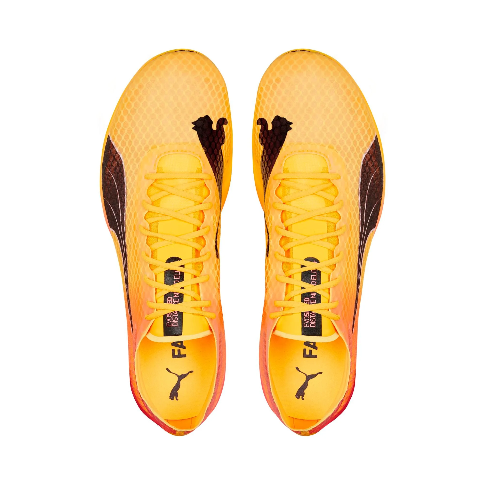Puma Evospeed Distance Nitro Elite 2