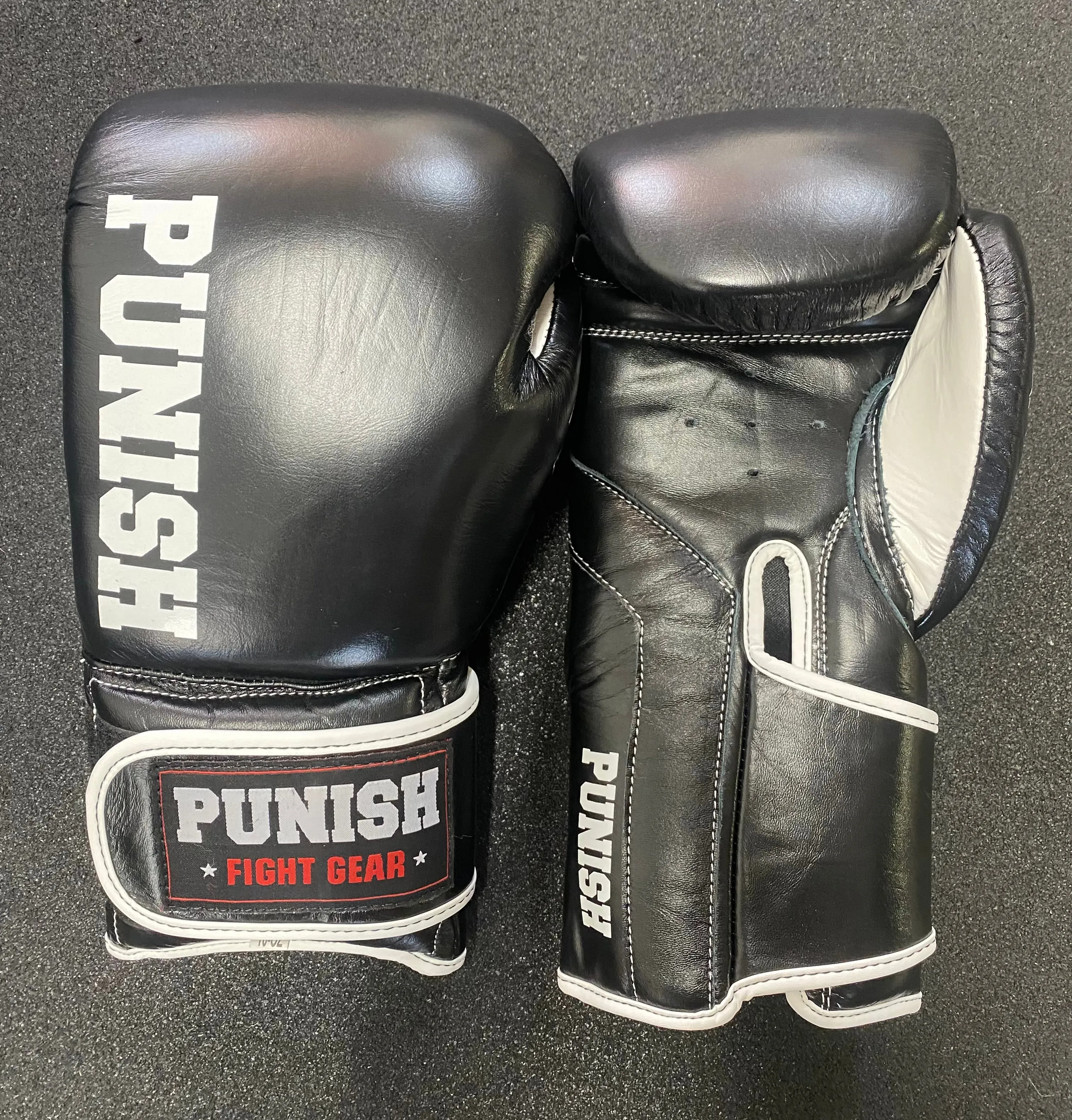 Punish 10oz Pro Fighters Boxing Glove