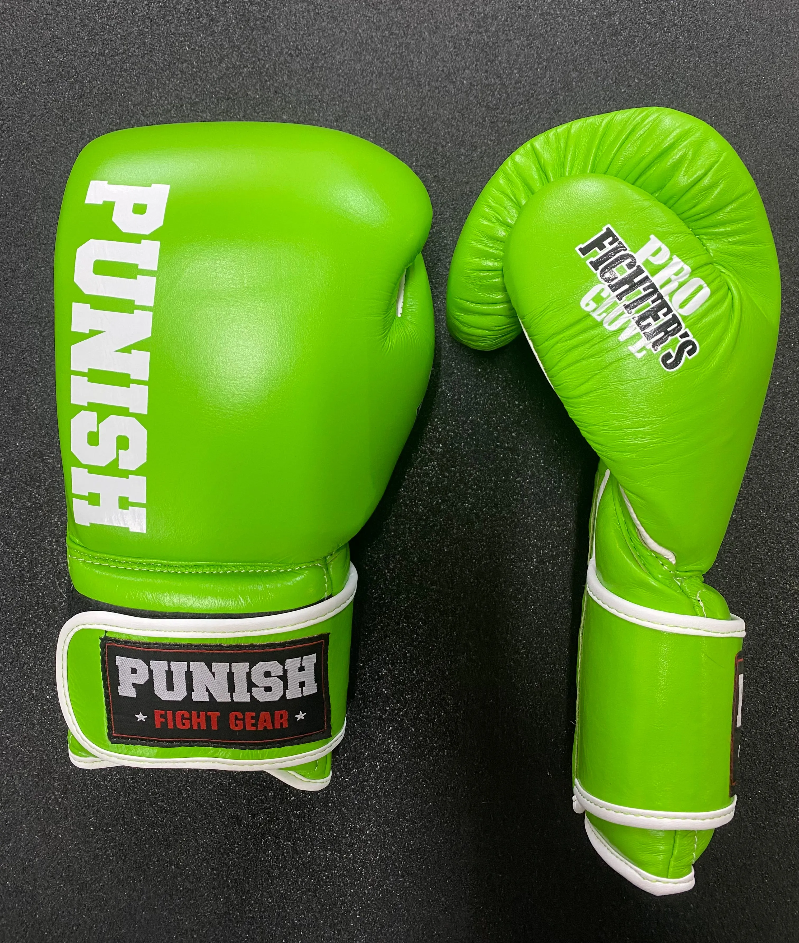 Punish 10oz Pro Fighters Boxing Glove
