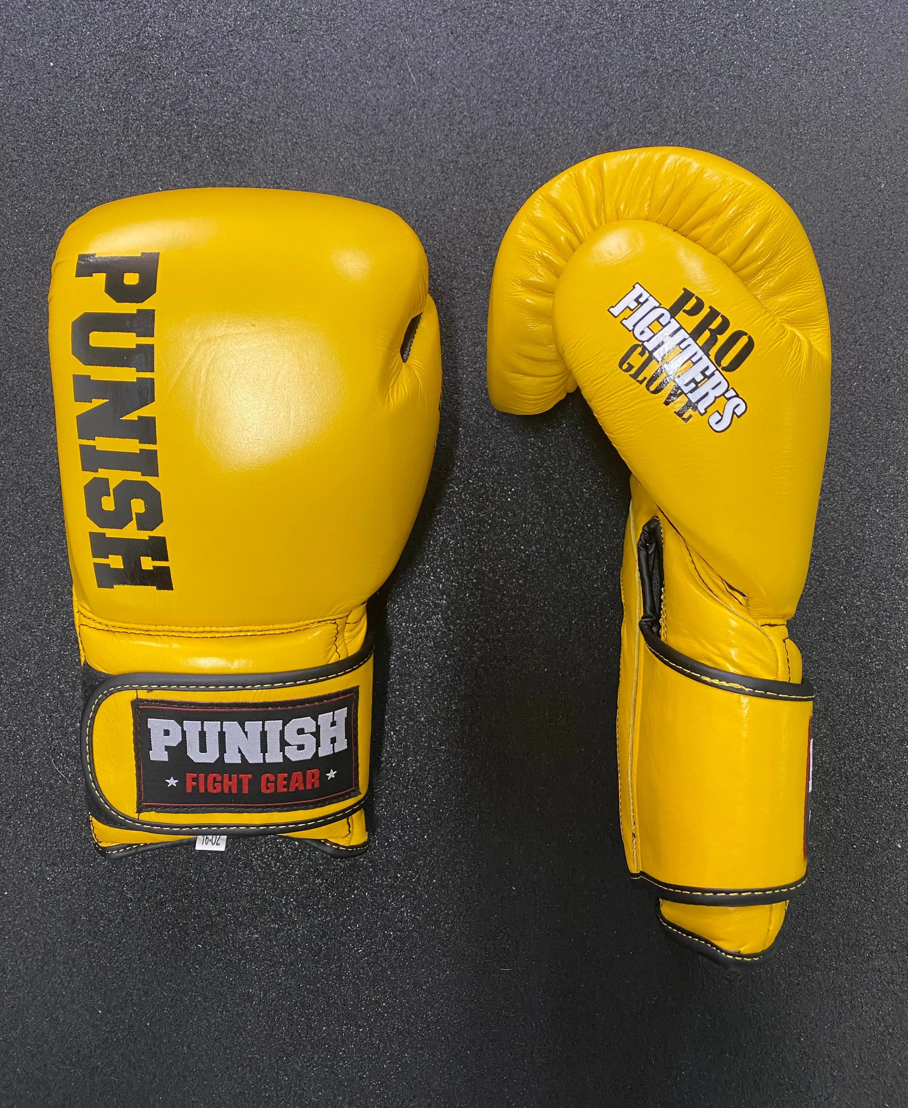 Punish 10oz Pro Fighters Boxing Glove