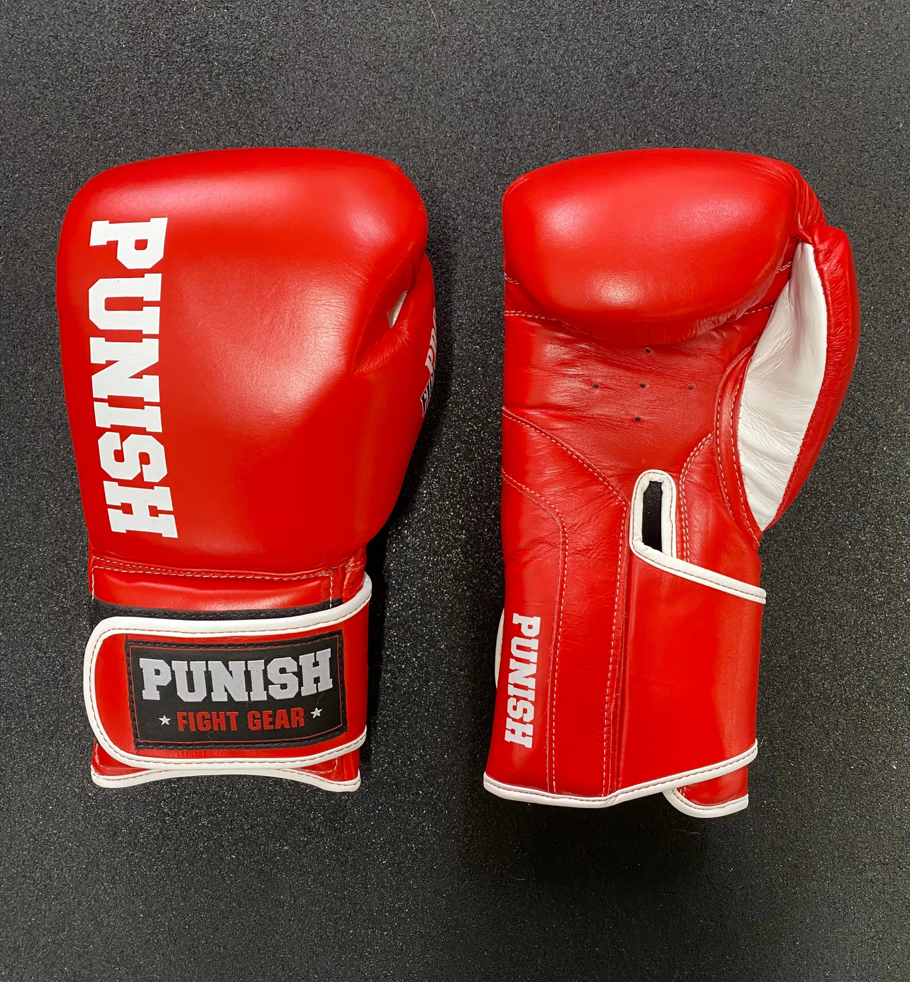 Punish 10oz Pro Fighters Boxing Glove