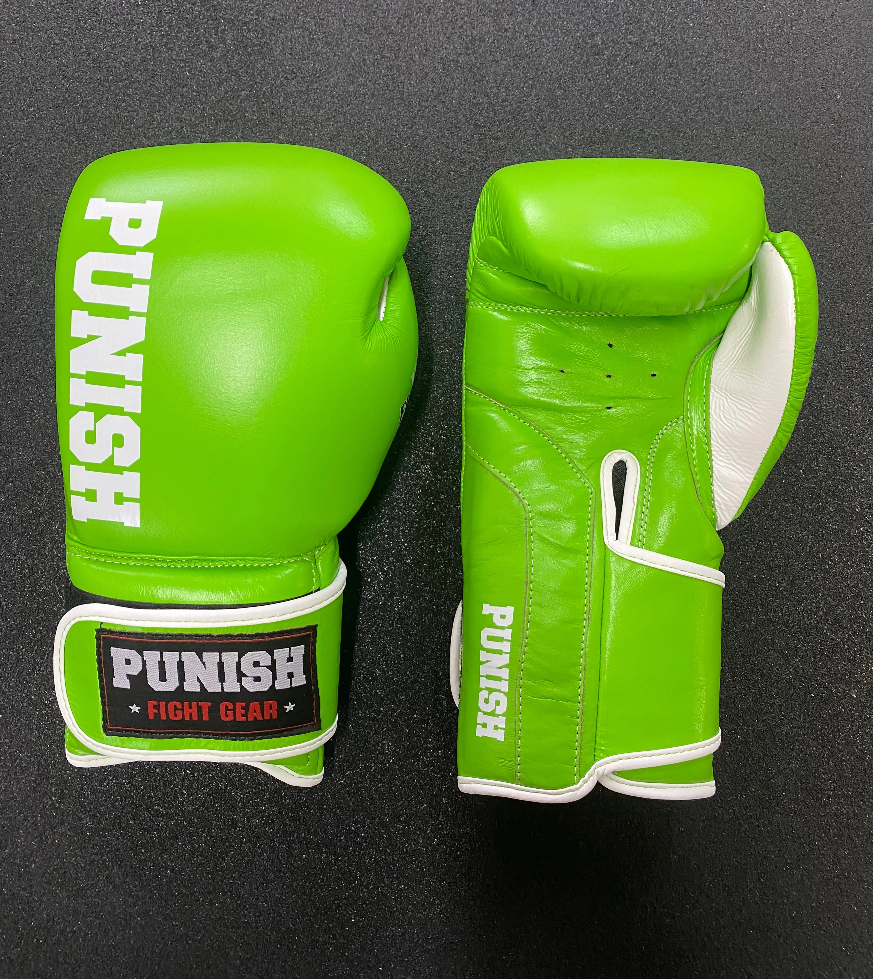 Punish 10oz Pro Fighters Boxing Glove