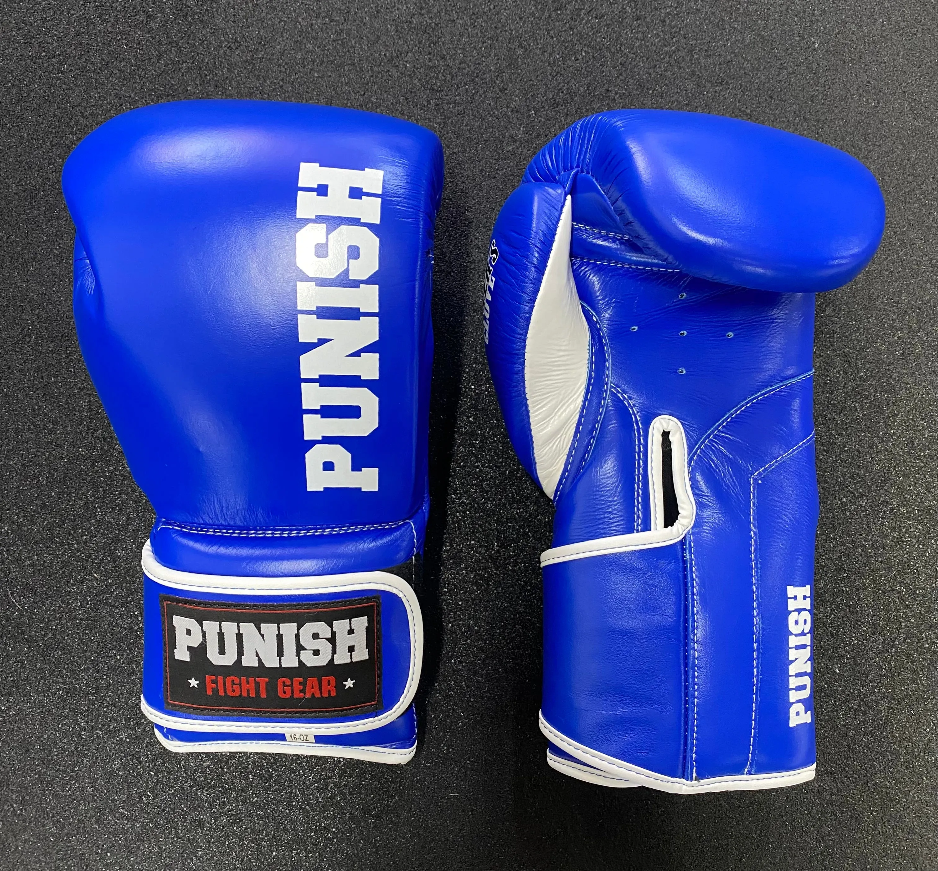 Punish 10oz Pro Fighters Boxing Glove