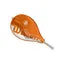 Roland Garros Elite 25 Strung Tennis Racket