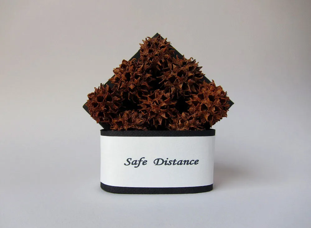 Safe Distance by Kate Boyes
