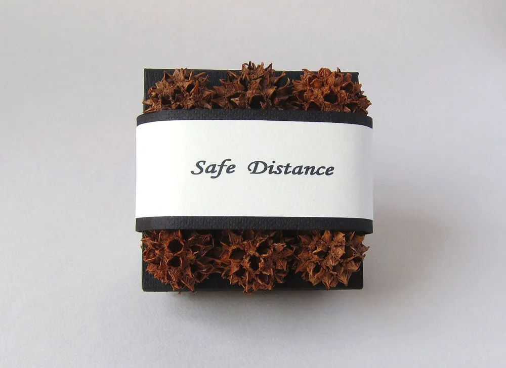 Safe Distance by Kate Boyes