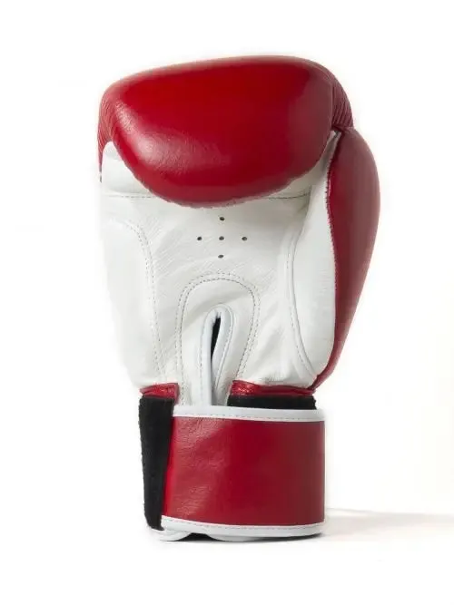 Sandee 2 Tone Boxing Gloves
