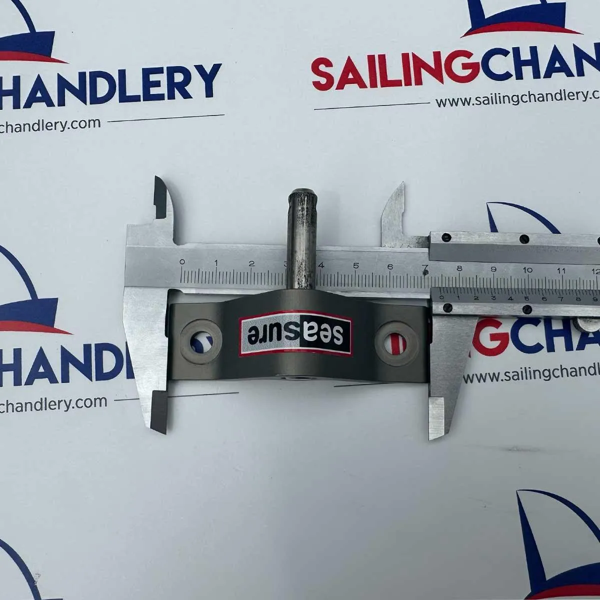Seasure 2 Hole Transom Pintle - 8mm