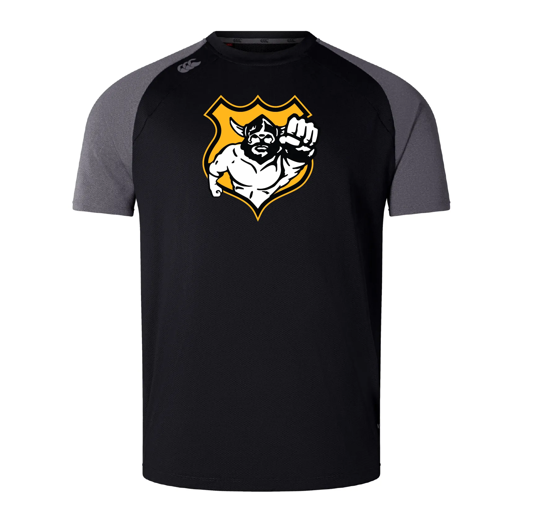 Seattle Vikings Rugby Elite Training Tee by Canterbury