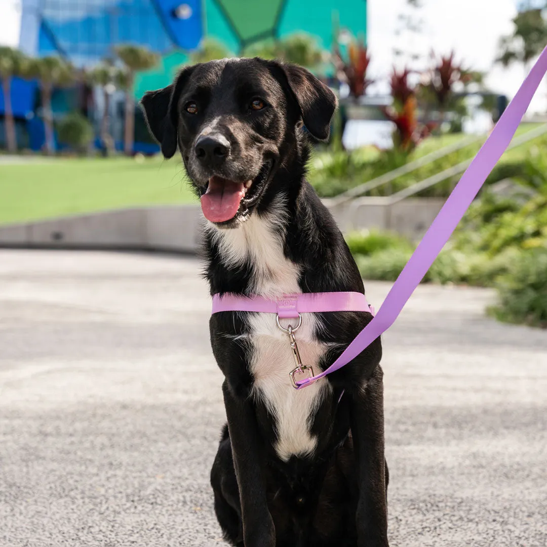 Sorbet OG No-Pull Training Harness