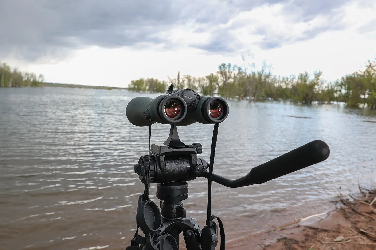 Swarovski NL Pure 10x52 Binoculars 36013