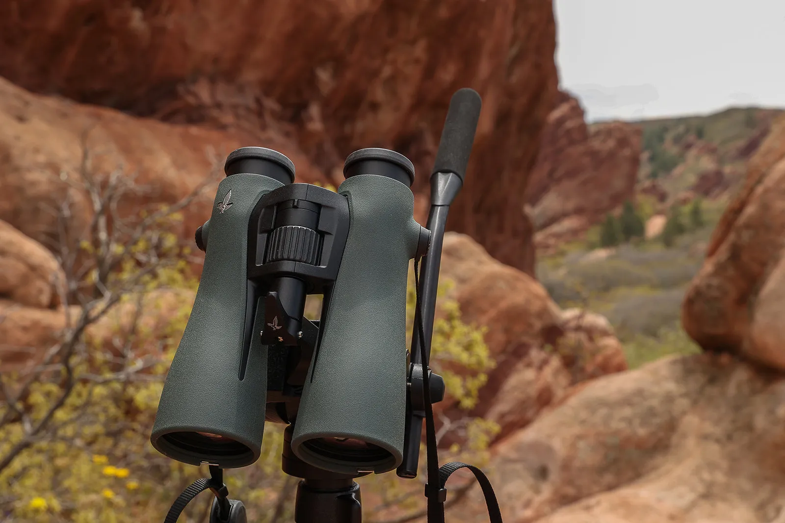 Swarovski NL Pure 10x52 Binoculars 36013