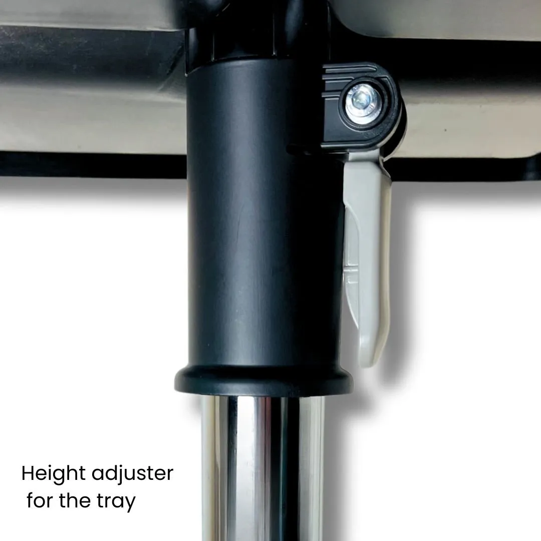 Training Stand With Tray