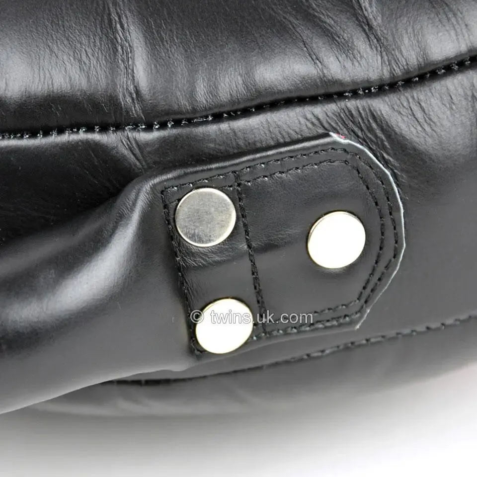 Twins Special Heavy Punching Pad
