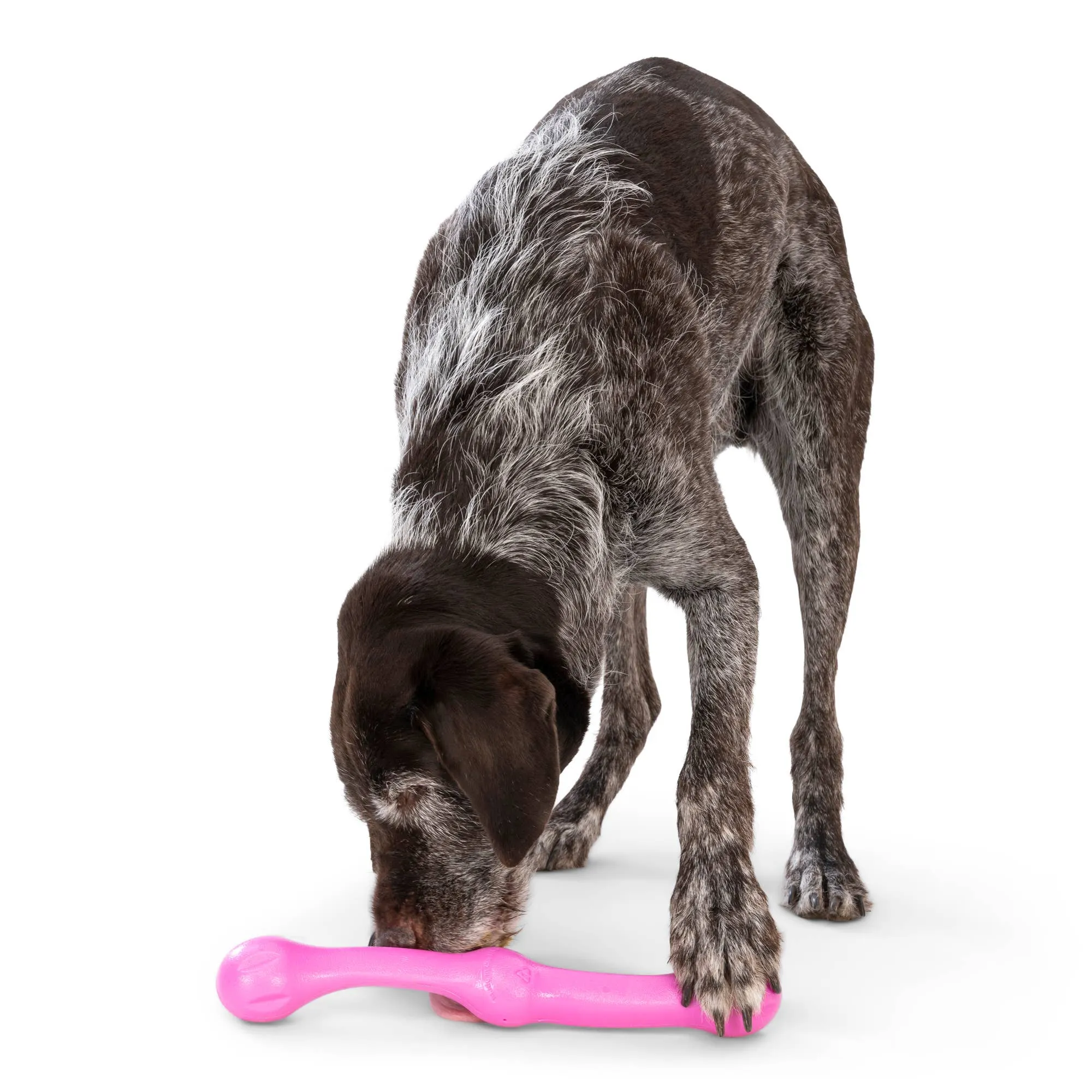 West Paw - Zwig® Dog Toy for Play, Tug, and Fetch