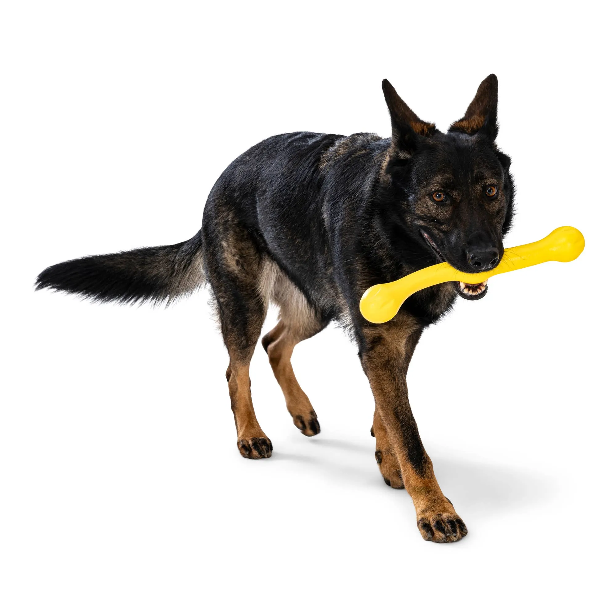 West Paw - Zwig® Dog Toy for Play, Tug, and Fetch