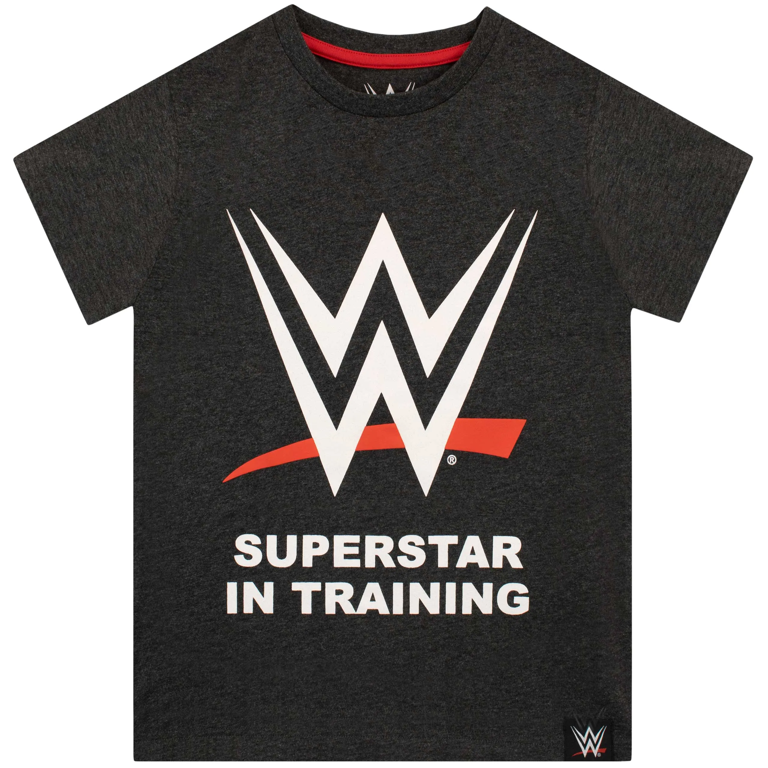 WWE T-Shirt Logo