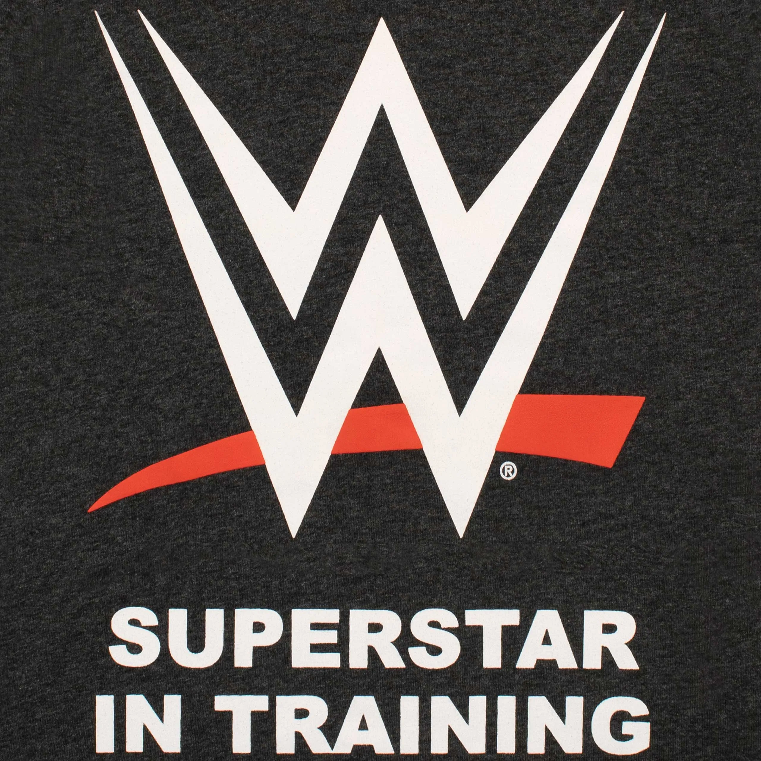 WWE T-Shirt Logo